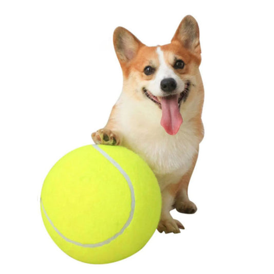 Tennisbal Reuze Honden Speelgoed Duurzaam Interactief Trainingshulpmiddel Veilig Multifunctioneel